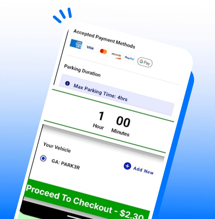 Multiple paying options