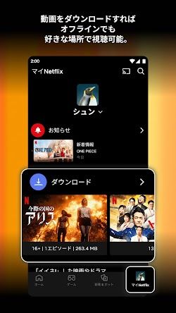Netflix screenshot